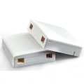 Faceplate 2 Ports Fiber FTTH Access Terminal Box