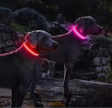 Rechargeable Light Up Flashing Night Safety Dog Collar