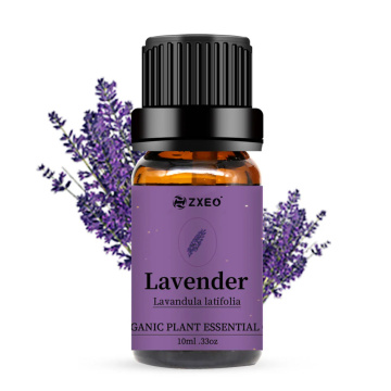 Lebo ya kibinafsi Lavender 100% Harufu safi ya asili mafuta muhimu 10ml kwa aromatherapy diffuser