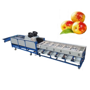 Farm Use Vegetable & Fruit Sorting Grading Machine: Potato, Lily, Peach, Hawthorn