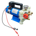 Pompe à piston agricole portable haute puissance 12 V