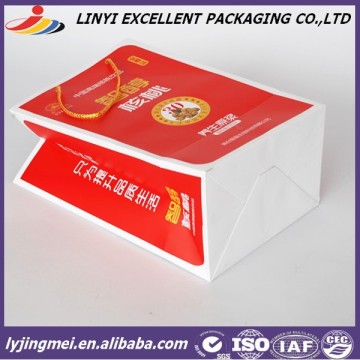 PP Handle with White Cardboard Paper Carrier Bag /Paper Shopping Bag