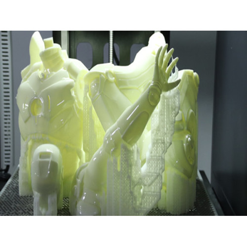 Printing Of Human Body Structure