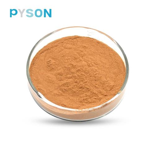 herbal lingzhi reishi mushroom spore powder