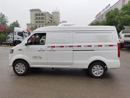 Mini New Energy Electric Refrigerator Truck