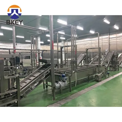 Tomatoes Carrot Vegetable Fruit Washing and Drying Machinery