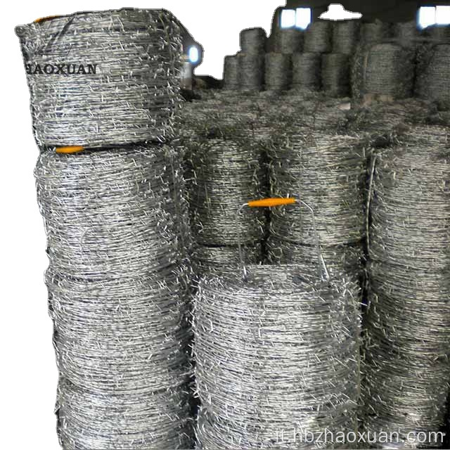 Bobina a filo spinato zincato in vendita