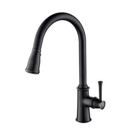 Kitchen Faucets with Pull Out Spray