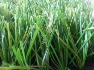 Bicolor S Shape Artificial Grass For Baseball Field SGS App