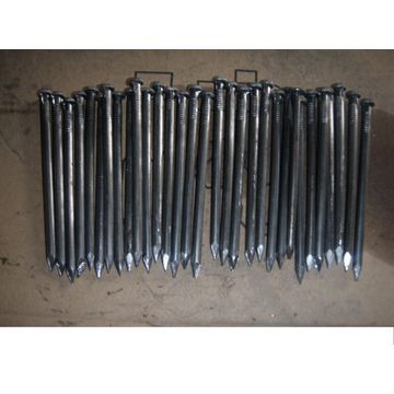 Hot sales, common iron nail, factoryNew