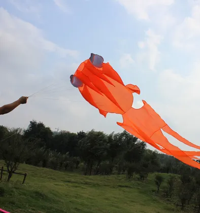 Red Wheel Kite Reel Winder for 100M Twisted String - Kite Accessories for Outdoor Play