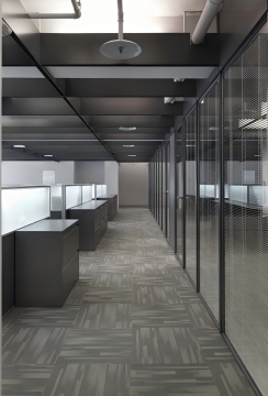 Custom Steel Partition Solutions with Durable Finish