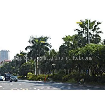 LED Street Light/Cree LED Source