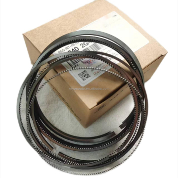High-Quality Engine Piston Ring 23040-2G500 - Best Selling