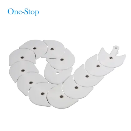 Flexible Conveyor Chain Plastic Chain