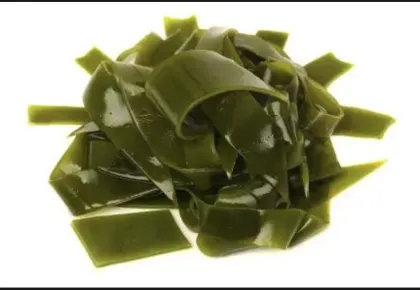 Kelp Extract for Dietary Supplements