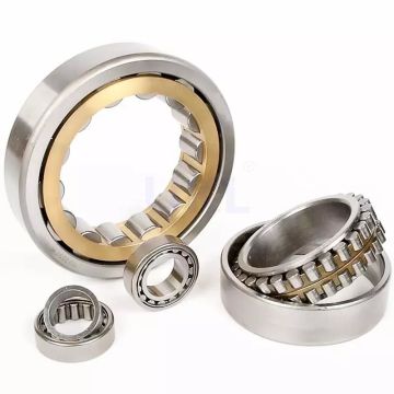 Hot selling Cylindrical Roller Bearing