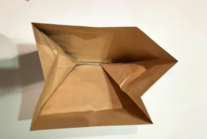 Biodegradable Waste Leaf Packaging Bag