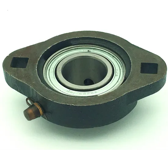Custom Pillow Block Bearing FL207, SBLF203, LF204 Cast Steel Housing with Square Hole