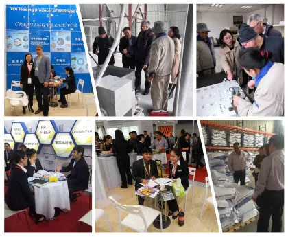 HEMC for Paint Industry
