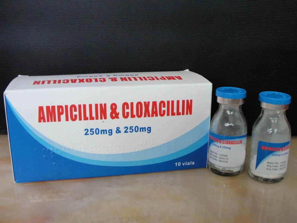 Ampicillin 300mg