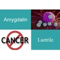 Anti-Cancer Health Care Ingredients 5-ALA HCl Powder 5-Aminolevulinic Acid Hcl Factory