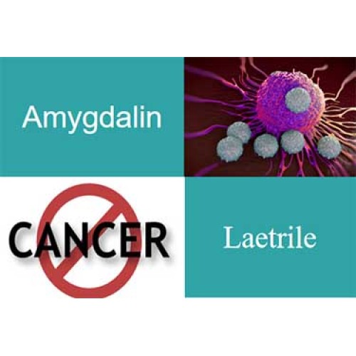 Anti-Cancer Health Care Ingredients 5-ALA HCl Powder 5-Aminolevulinic Acid Hcl Factory