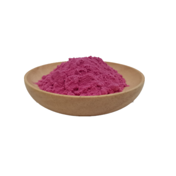 Food additive white label pure organic blueberry powder