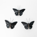 3d butterfly craft shop