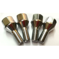 Stainless Steel Wheel Bolt