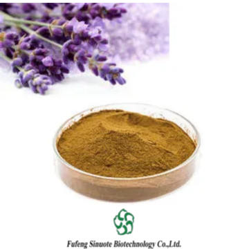Pure Lavandula Angustifolia Extract for Aromatherapy Applications