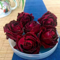 Rosa da Glória Carmesim