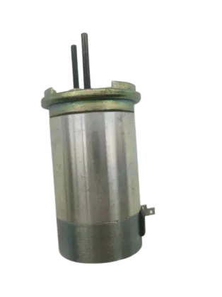 DC Electronic Motor with Blush