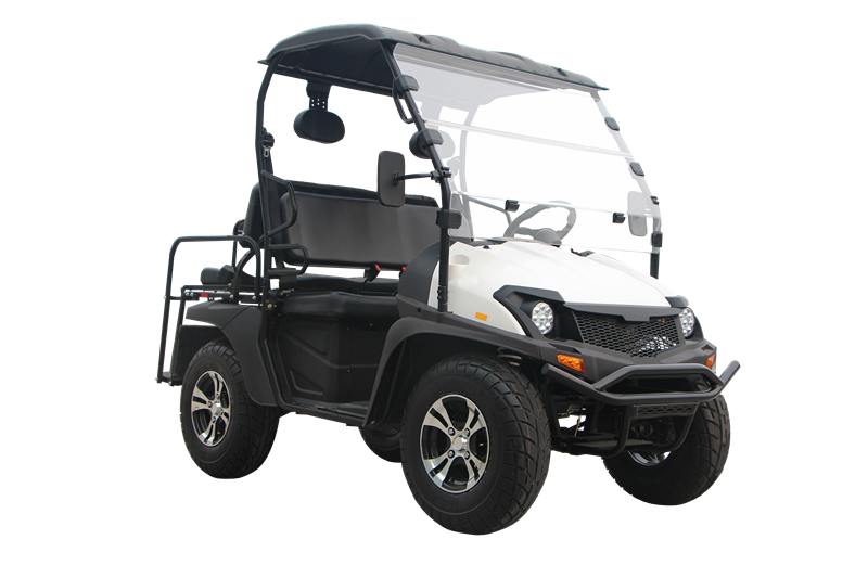 2021 Venta caliente de alta calidad 5KW Electric UTV EEC Electric Cart