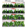 LED Growing Lights for Indoor Breeding&Seedlings