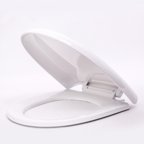 Plastic soft close toilet lid with quick release function