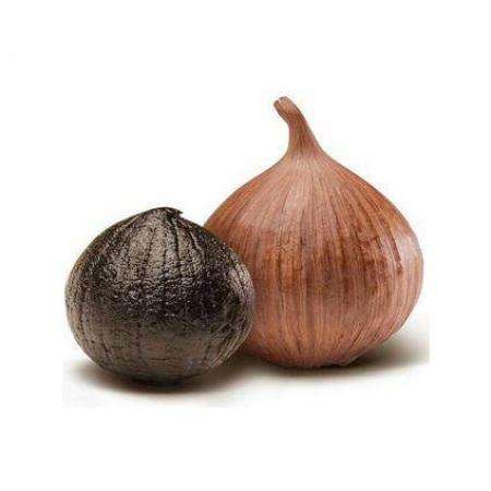 black garlic extract (4)