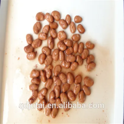 Canned Broad Beans/Canned Food/Canned Vegetables
