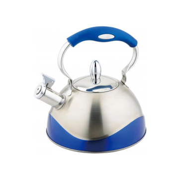 Stainless Steel Whistle Kettle