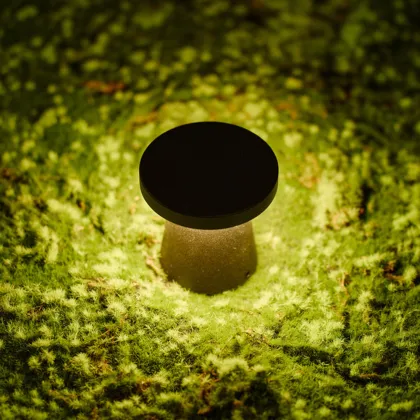 LEDEAST T-BT005 DC24V 6W IP65 Outdoor Mushroom-shaped LED Footlight