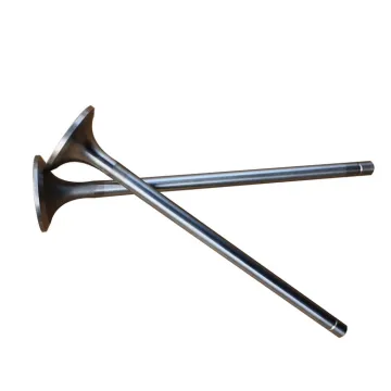 Auto spare parts engine valve for Fiat