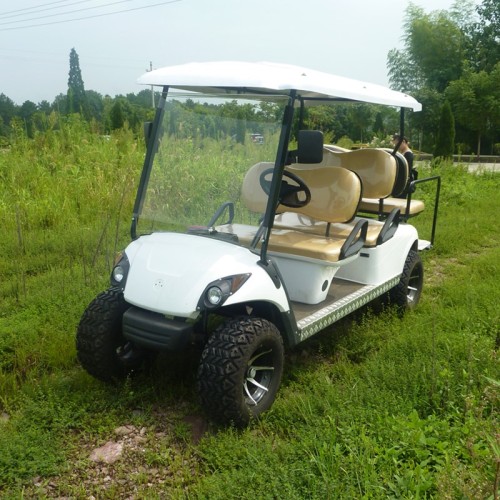 Cheap gas powered 4 seater golf cart