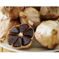 Best Whole Black Garlic Single Bulb With FDA