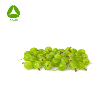 Bio -Bio -beste Qualität 99% Amla Fruchtsaftpulver