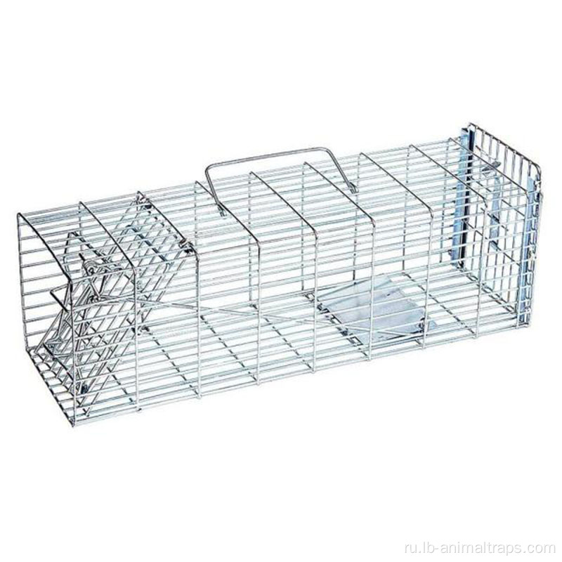 Cage Trap One Living Catch Lake Mouse Craps