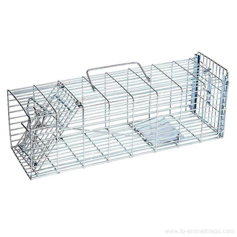 Cage Trap Single Living Catch Mouse Traps