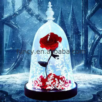 Best Valentine's Day Gift: Preserved Flower Beauty and the Beast Enchanted Rose
