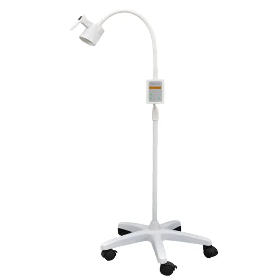 Portable Movable Standing Floor Outpatient Clinic LED Operation Room Examination Lamp Supplies