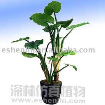 artificial alocasia macrorrhiza plant