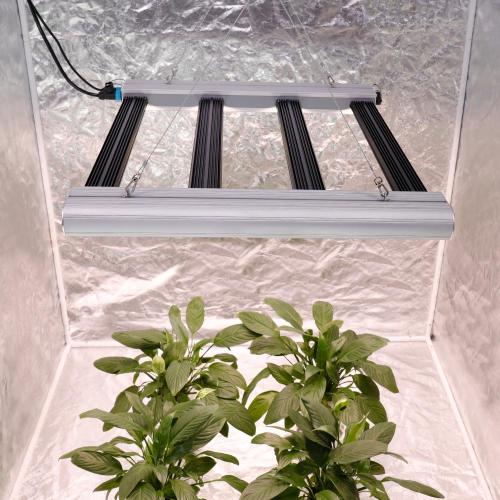 Phlizon LED Grow Light Outdoor Wasserdicht 200W